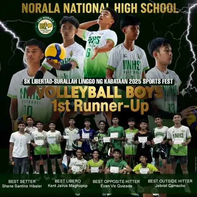 nnhs volleyball men