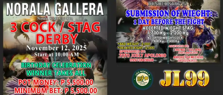 norala gallera banner