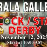 norala gallera feature image