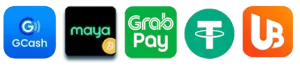 payment-300x68-1