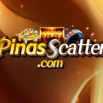 pinasscatter.com